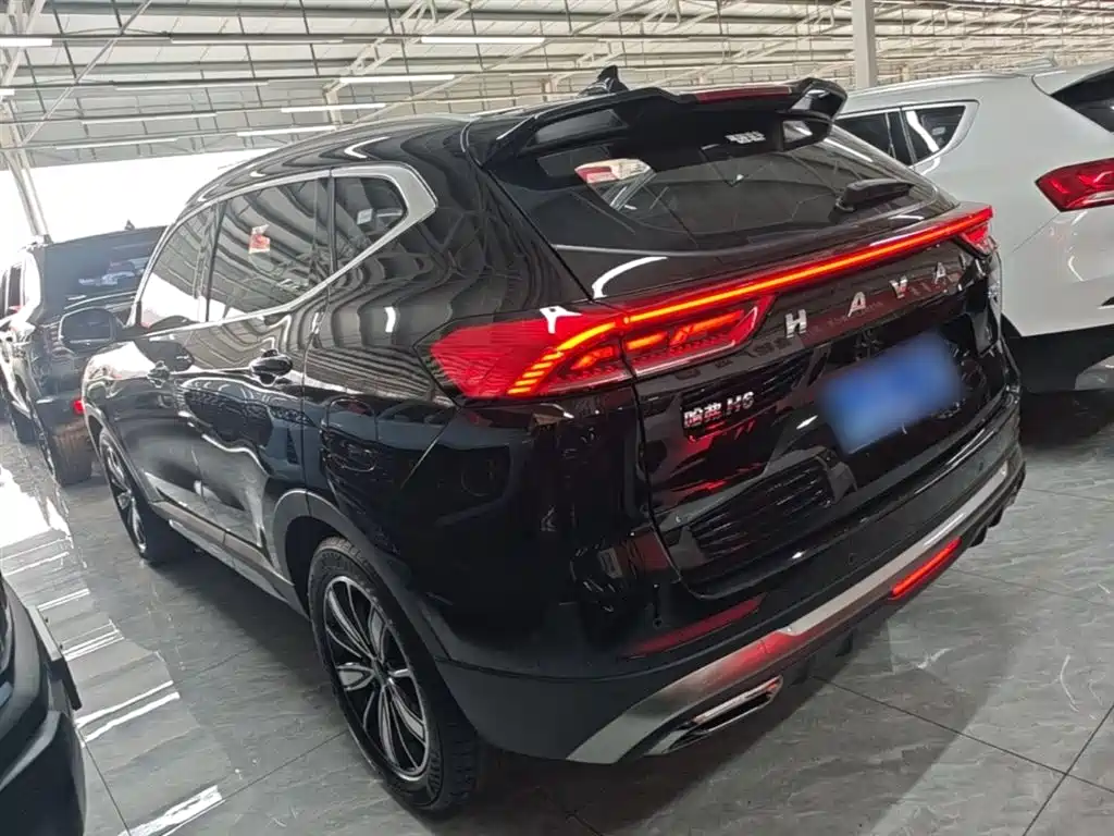 Haval H6 2023 National Trend Edition 1.5T Automatic Champion фото 5