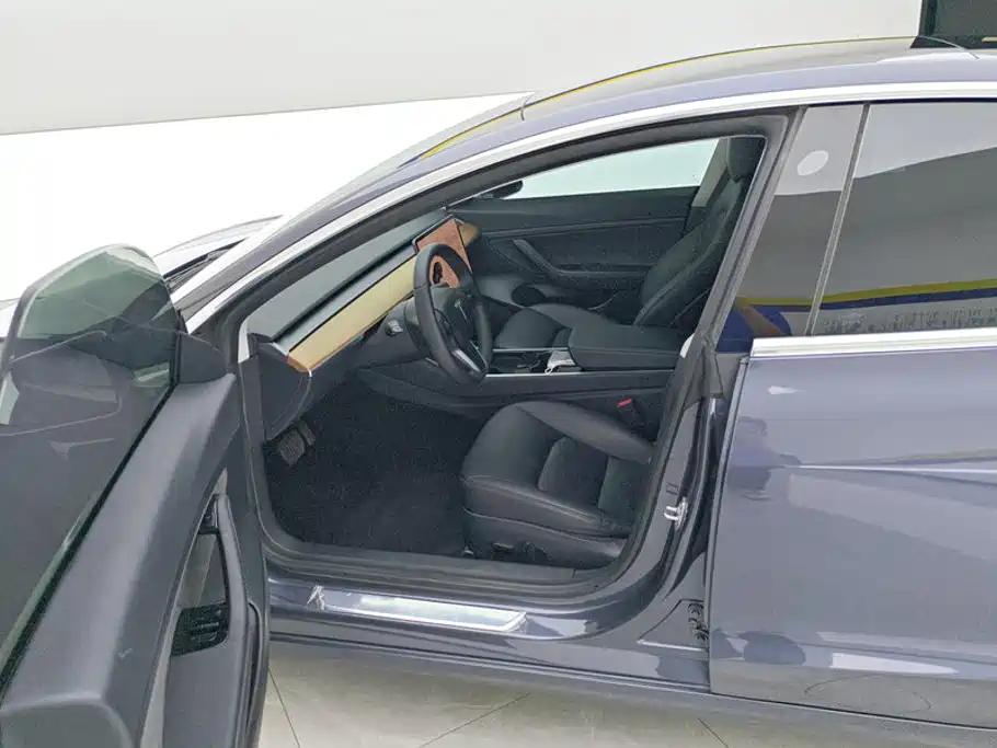 Tesla Model 3 2020 2019 Standard Range Rear-Wheel Drive Upgrade