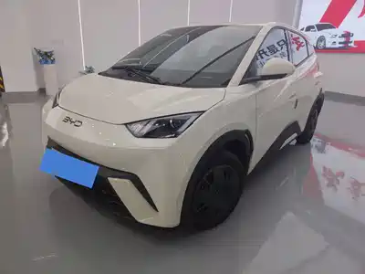 BYD Seagull