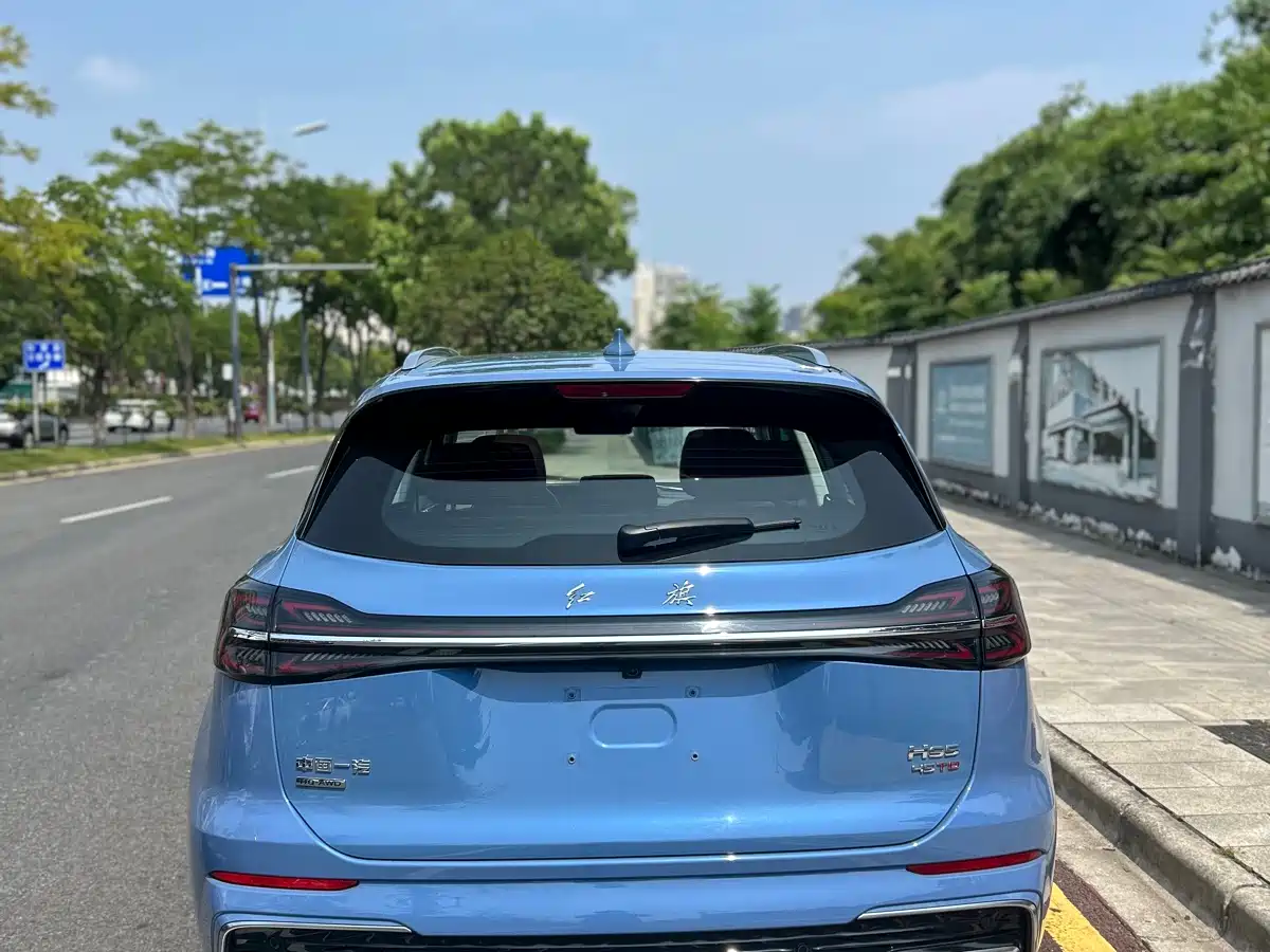Hongqi HS5 2023 2.0T 4WD Flag Leader Pro фото 11