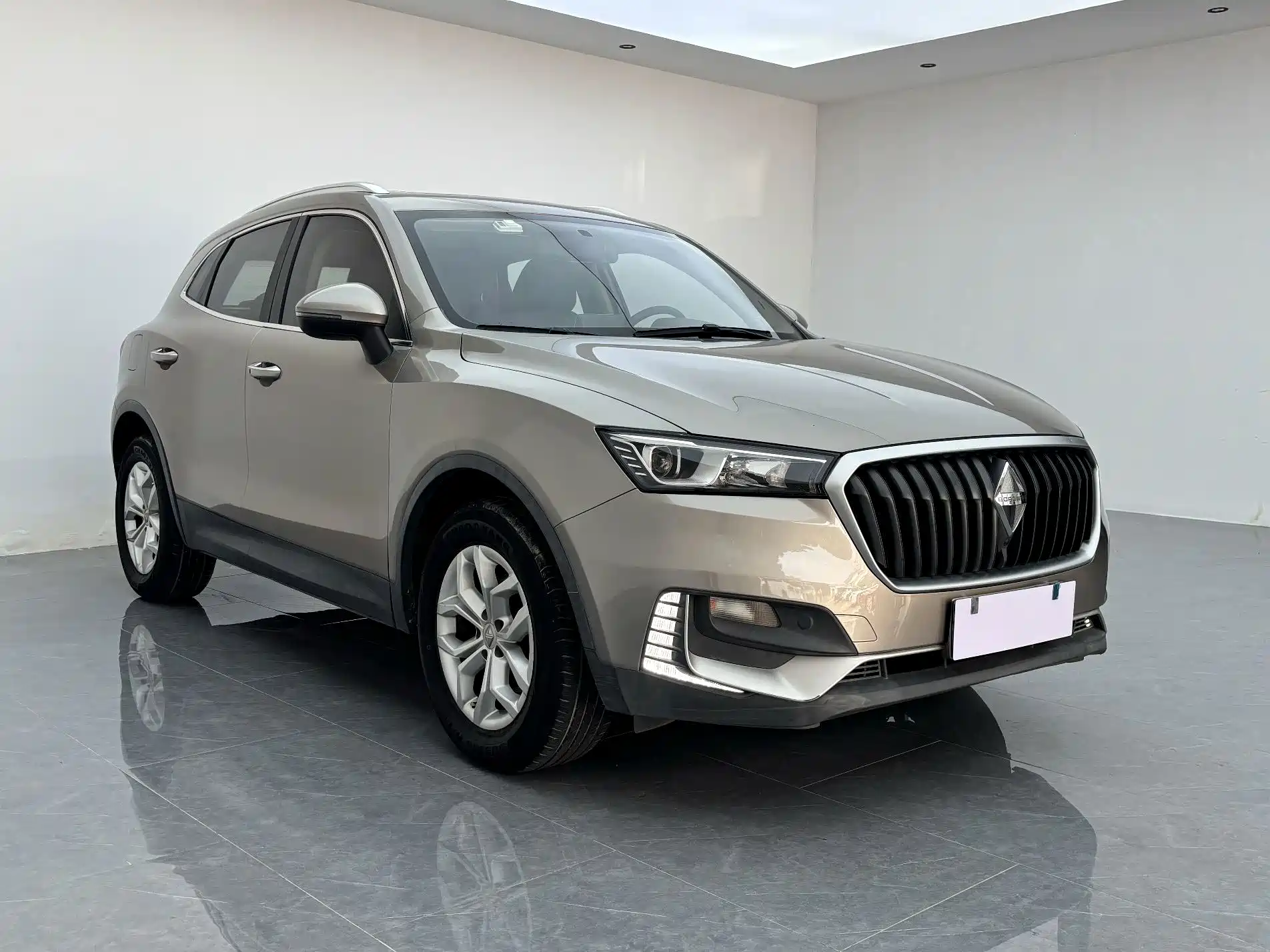 Фото 17 - Borgward BX5