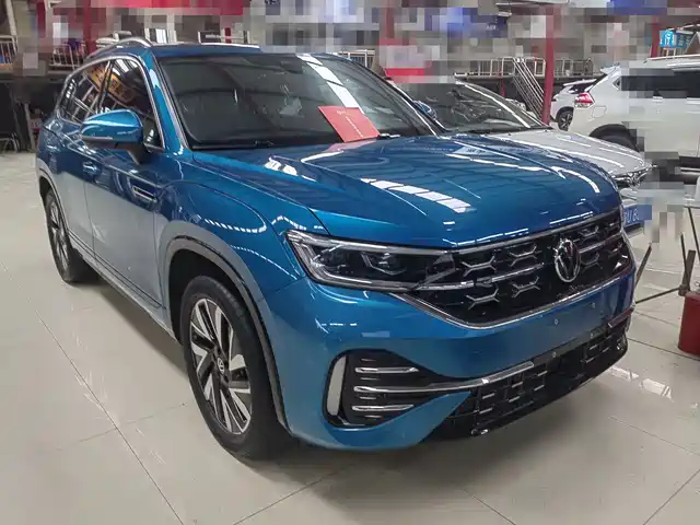 VOLKSWAGEN TANYUE