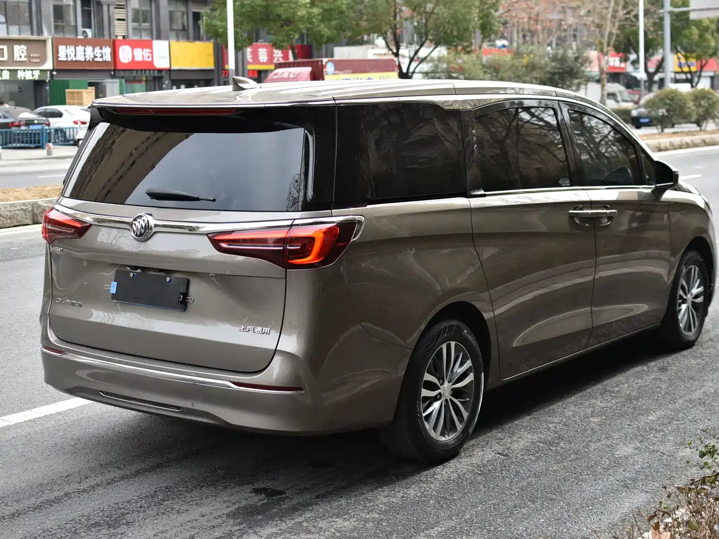 Buick GL8 2021 ES Landlord 653T Premium фото 6