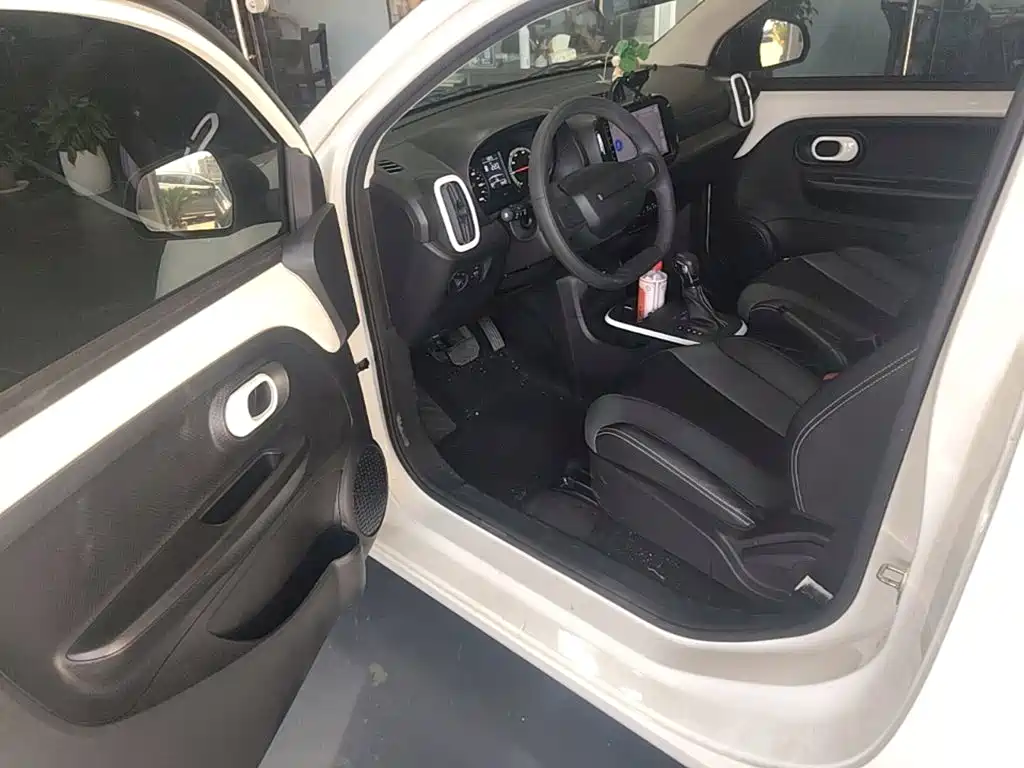 Roewe Clever 2023 2022 311km Vitality Bobo Edition