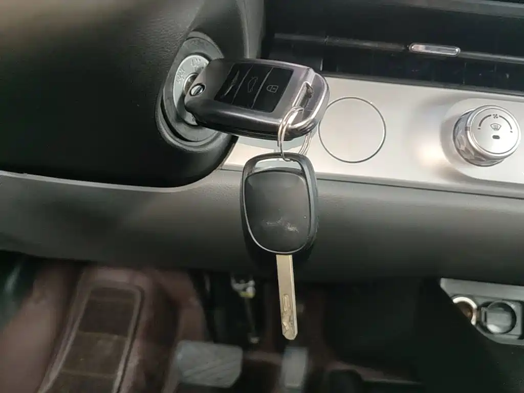 Changan Lumin 2025 2025 205km Fragrant Infusion Edition