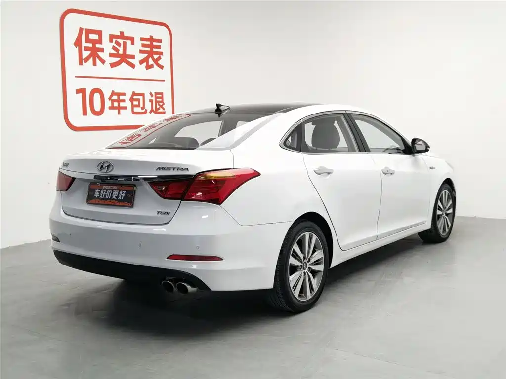 HYUNDAI NAME PICTURE