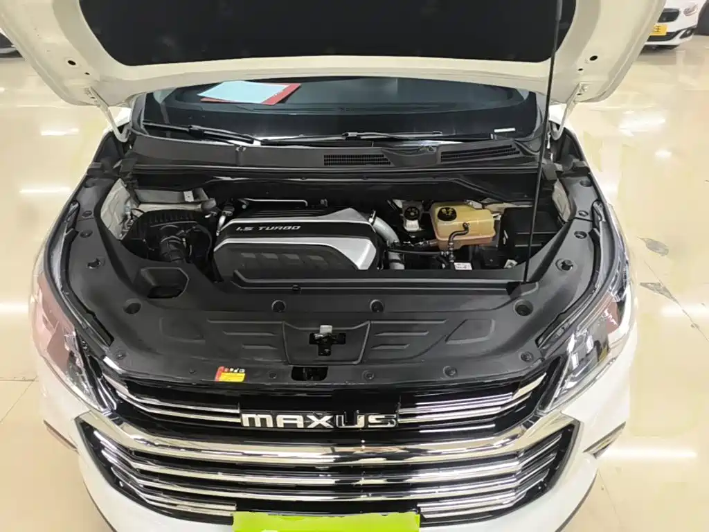 Фото 20 - Maxus Maxus G50