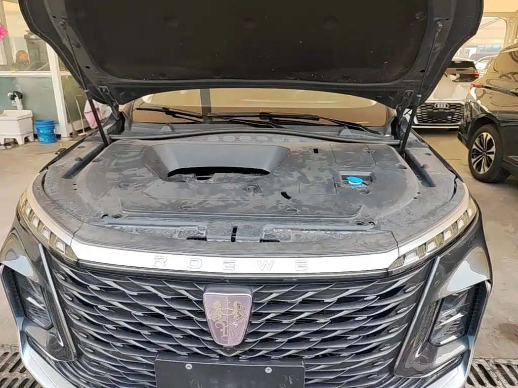 Фото 20 - Roewe RX5 MAX