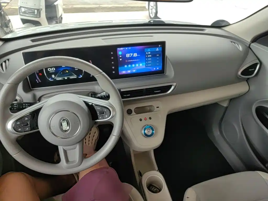 Ora White Cat 2021 2020 305km Luxury