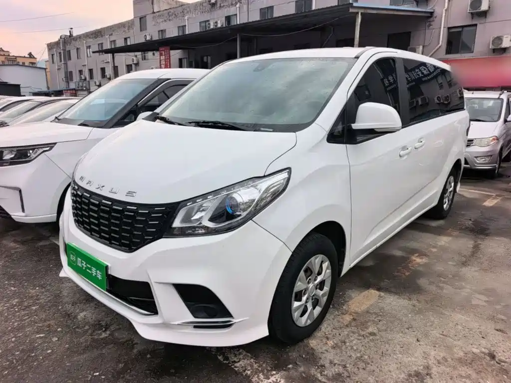 Фото 2 - Maxus G10
