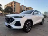 Фото 1 - Changan Oshan Changan Oushang X5