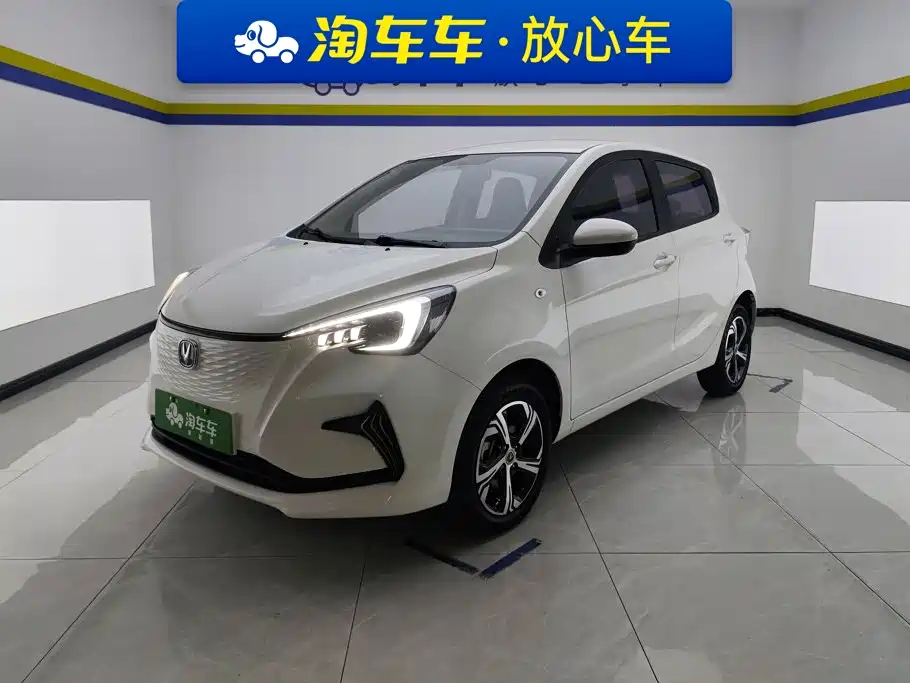 Changan Benben E-Star 2022 2022 Appreciation Edition Colorful LFP