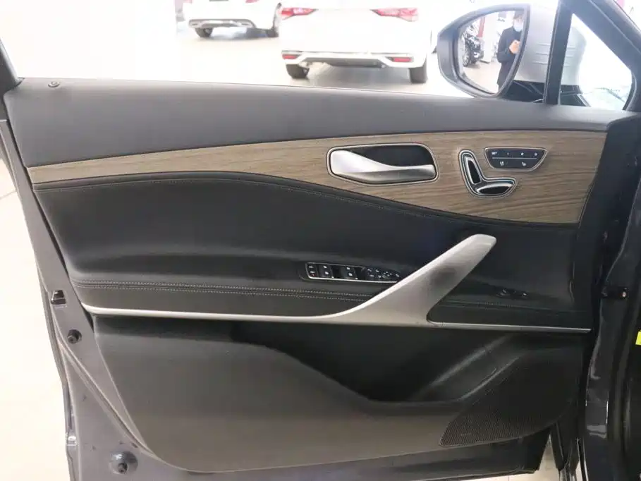 Denza X 2021 2020 Model PHEV Flagship Edition