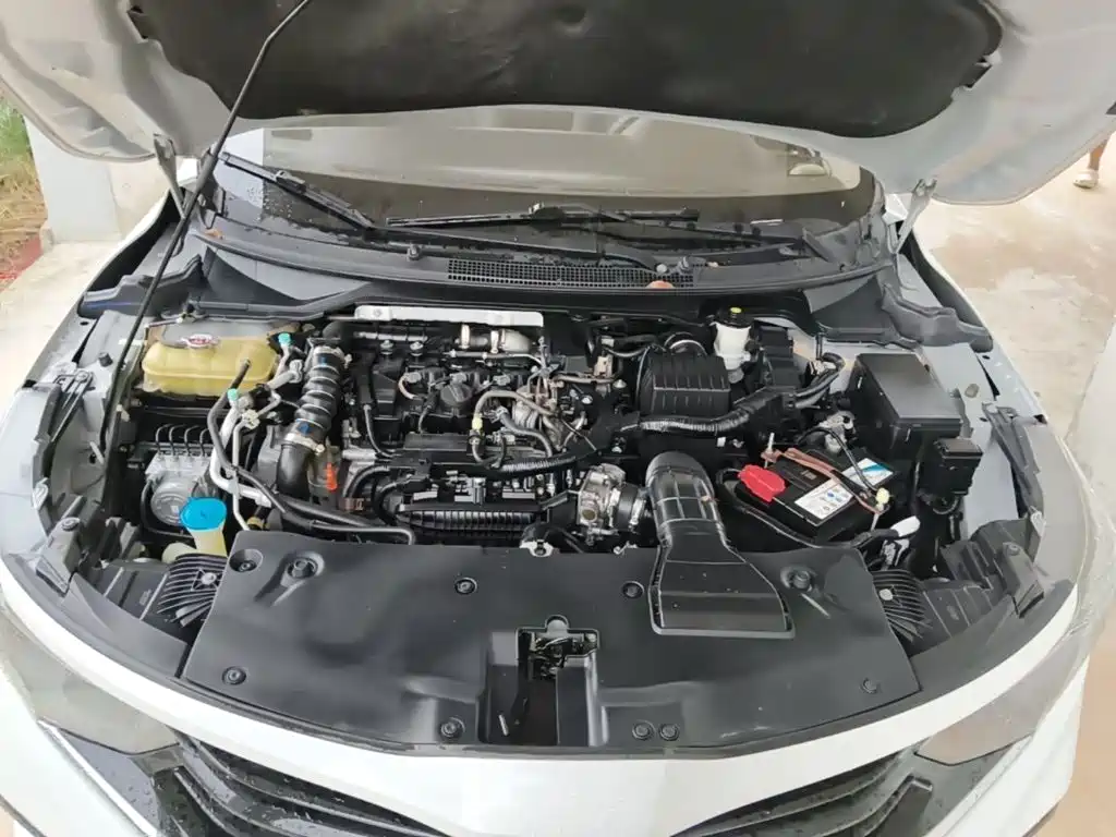 Photo 20 - Honda ENVIX