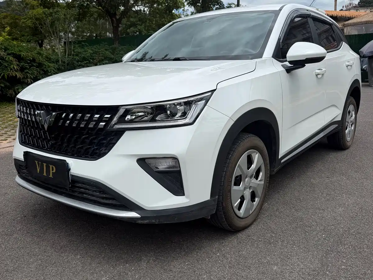 Wuling Motors Wuling Xingchi 2025 2026 1.5L Manual Freedom