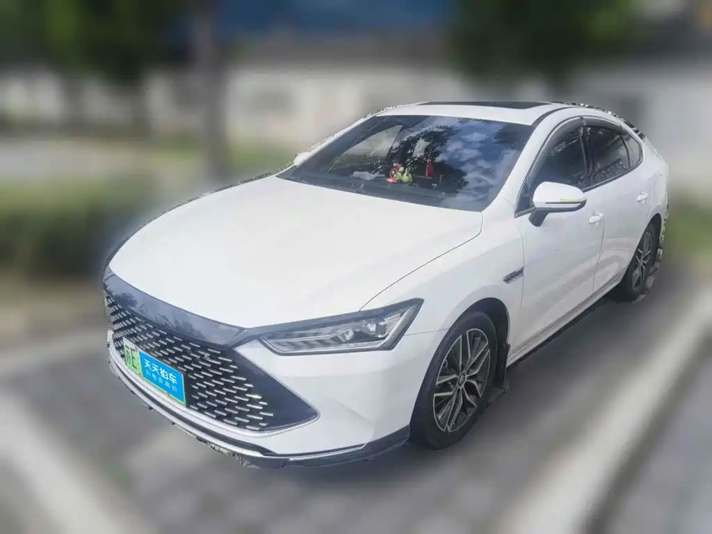 BYD Qin PLUS 2021 DM-i 55KM Flagship