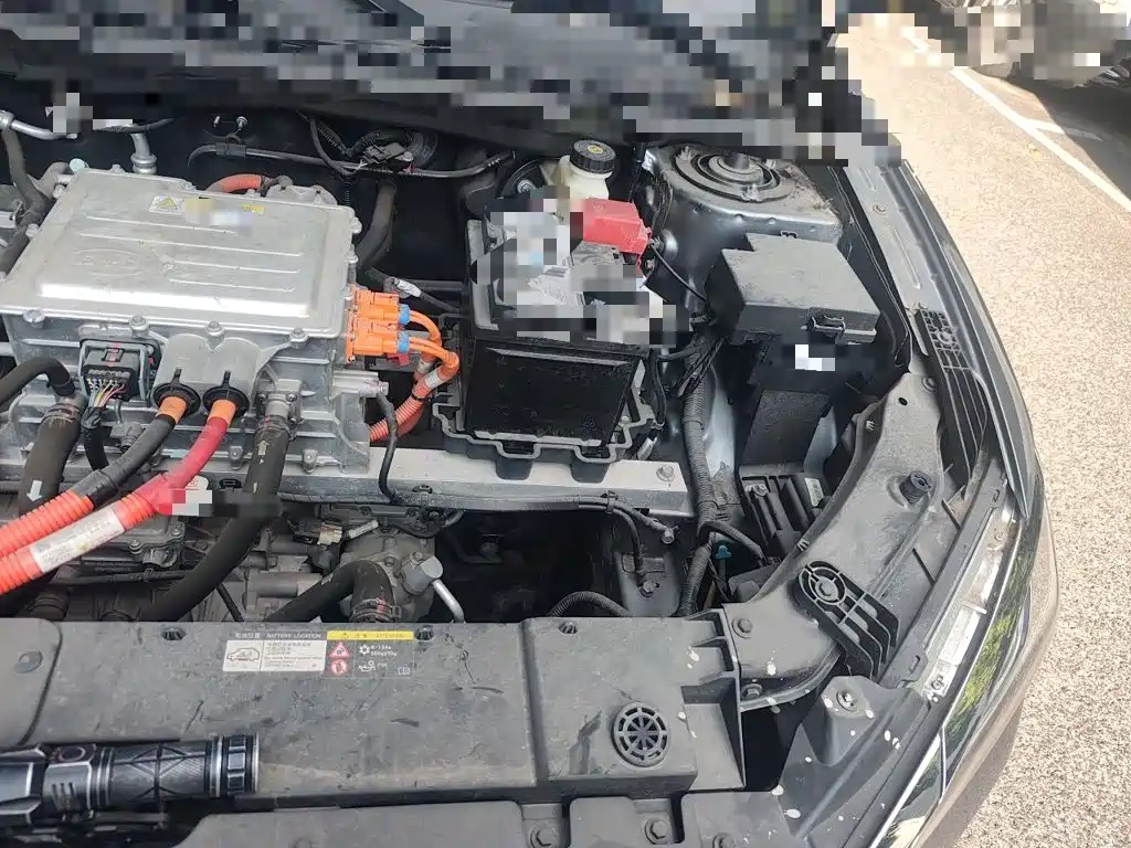 BYD e2 2022 2021 Luxury Edition