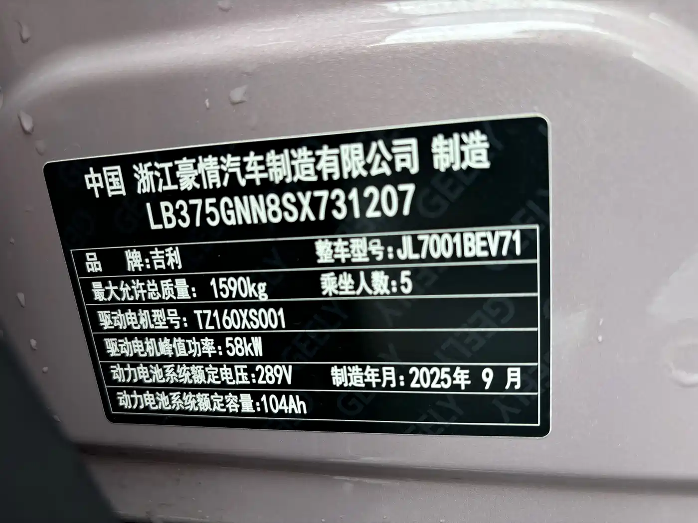 Geely Galaxy Starry Wish 2025 2025 310km Youth Edition