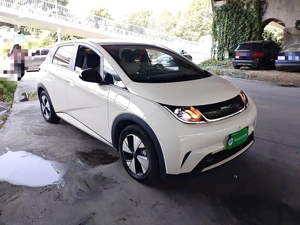 Фото 4 - BYD Dolphin