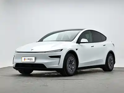 Tesla Model Y L