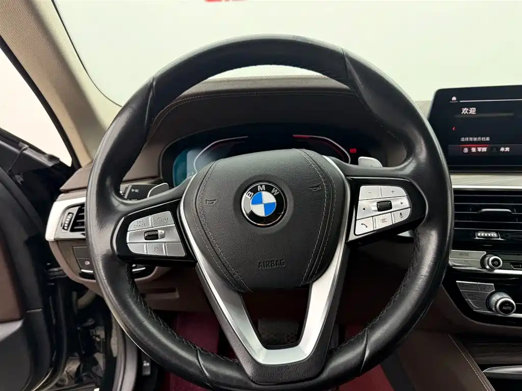 BMW 5 Series 2020 530Li Leading Luxury Package фото 7
