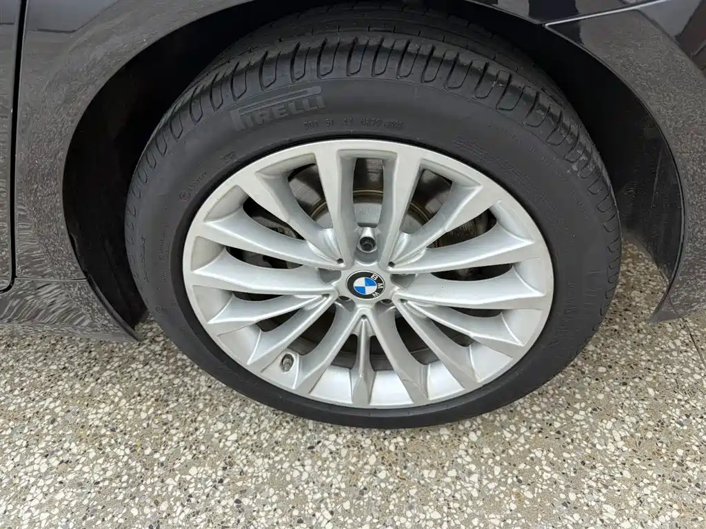 BMW 5 Series 2020 530Li Leading Luxury Package фото 13