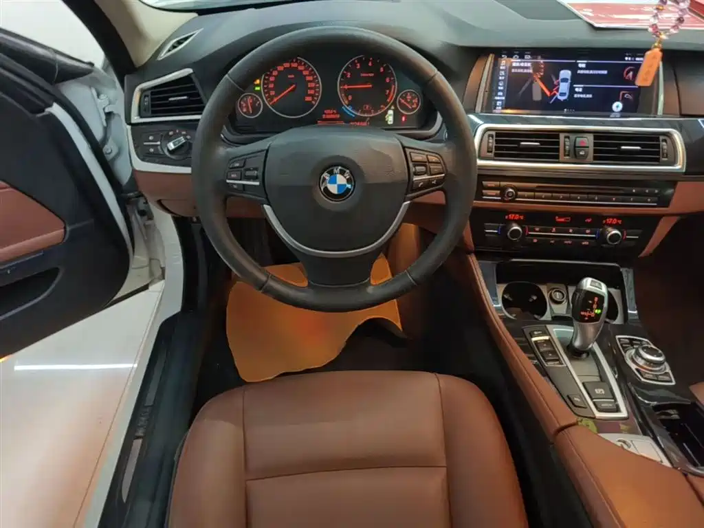 BMW 5 Series (Import) 2015 520i Elegance фото 10