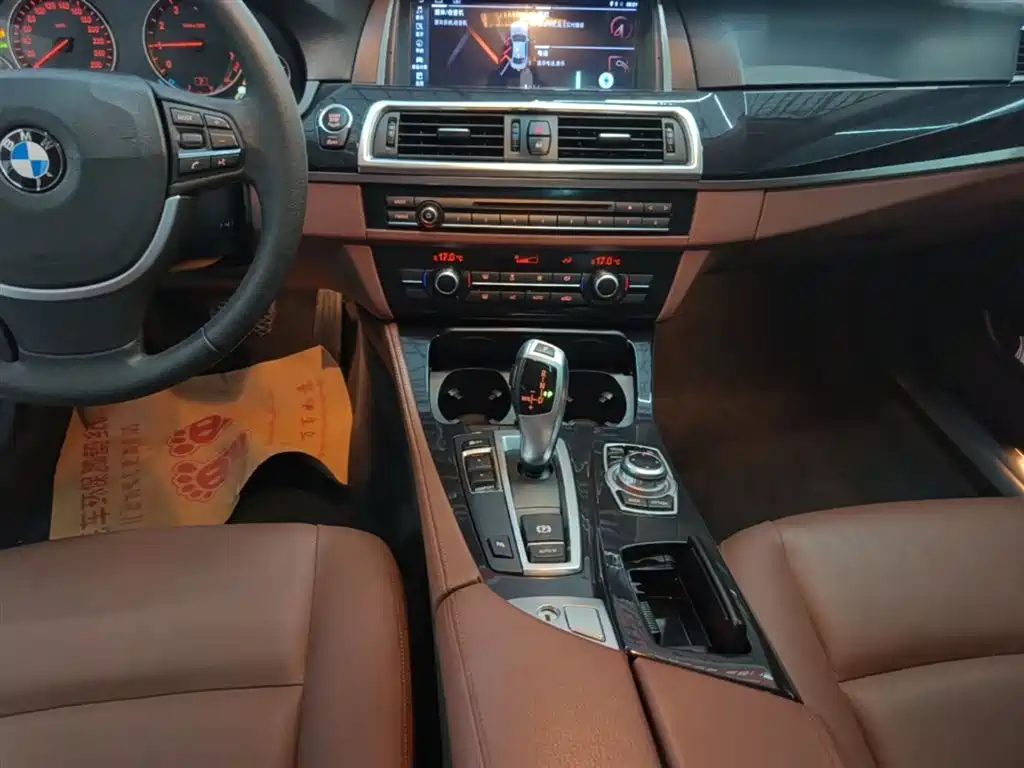 BMW 5 Series (Import) 2015 520i Elegance фото 12