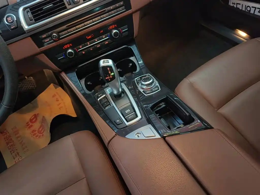 BMW 5 Series (Import) 2015 520i Elegance фото 13