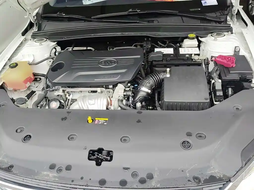 BYD Qin Pro 2020 2020 Surpass Edition 1.5TI Manual Luxury