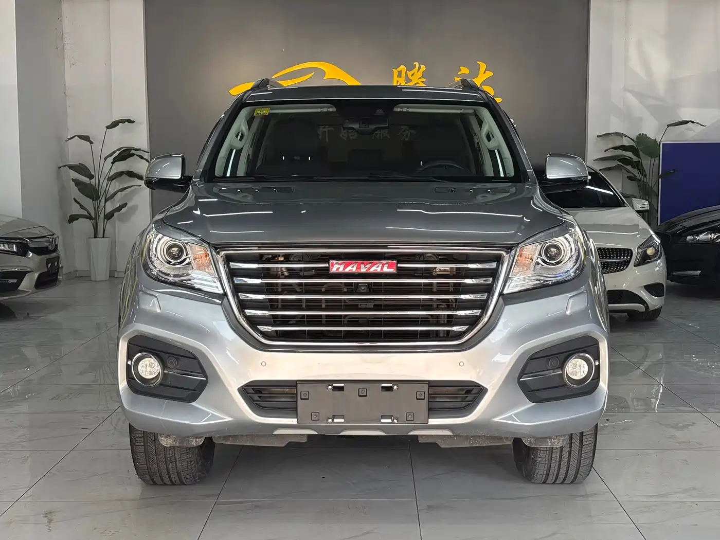 HAVAL H9