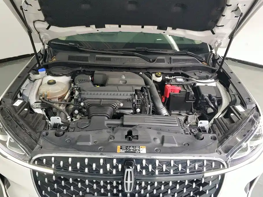 Lincoln Adventurer 2024 2024 2.0T 4WD Prestige Edition