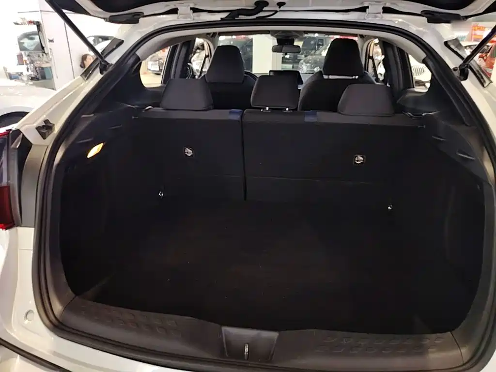 Toyota C-HR 2022 2021 2.0L Comfort Edition