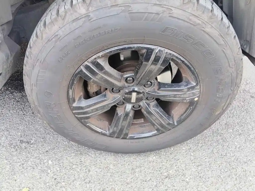 Tank 300 2021 2021 Off-road Edition 2.0T Challenger