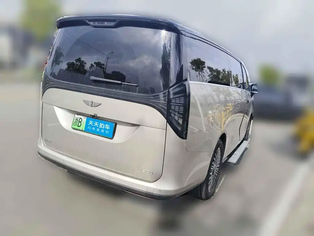 Geely Galaxy Galaxy V900 2026 2026 Model Base Version 8-Seater