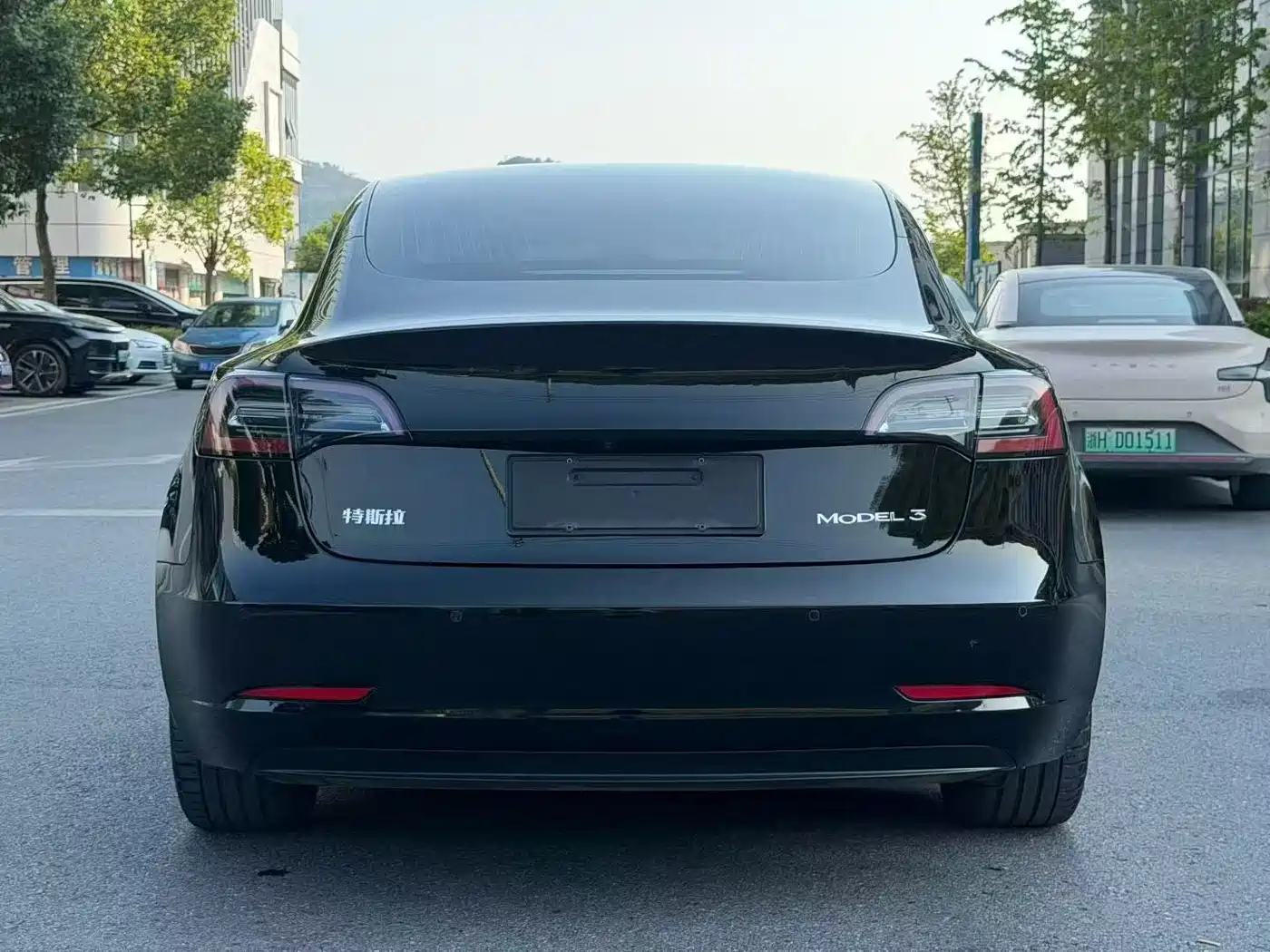 Tesla Model 3 2020 2020 Standard Range Rear-Wheel Drive Upgrade
