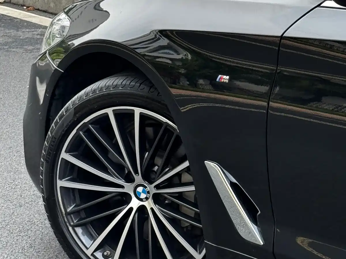 BMW 5 Series 2020 530Li Leading M Sport Package фото 4
