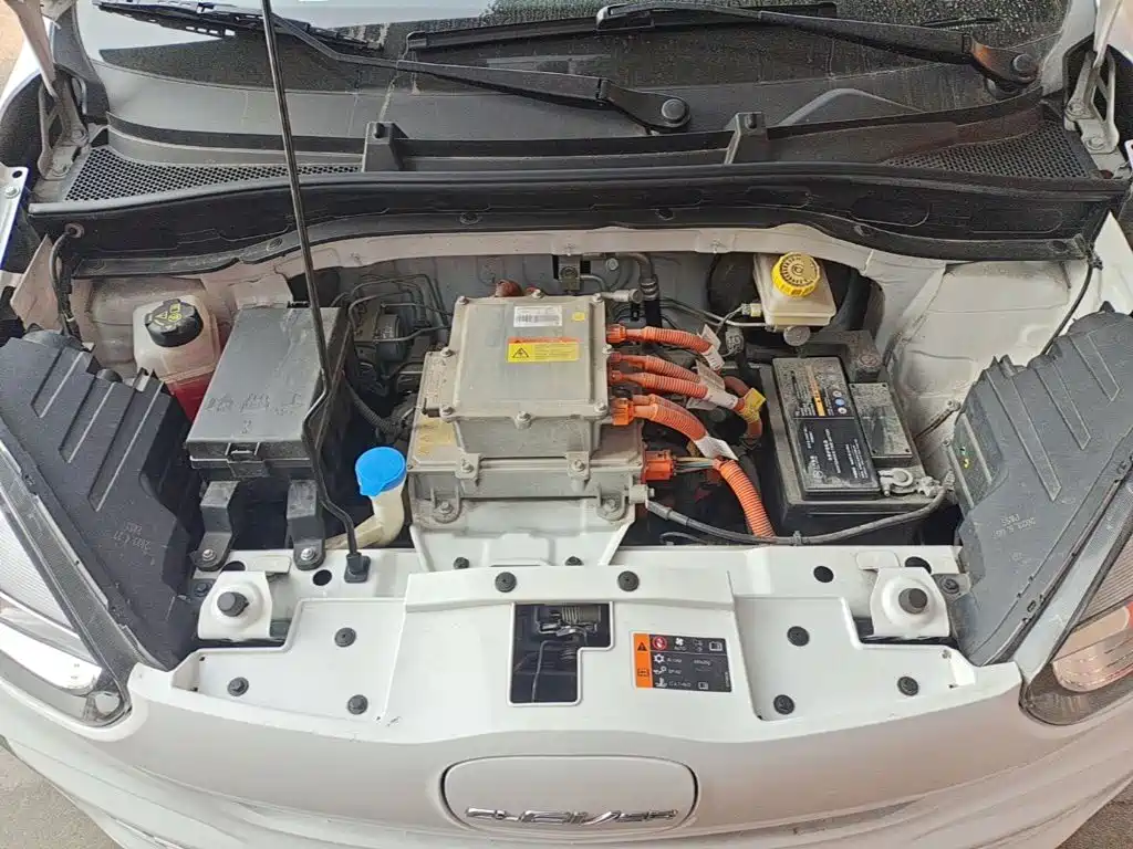 Roewe Clever 2023 2022 311km Vitality Bobo Edition