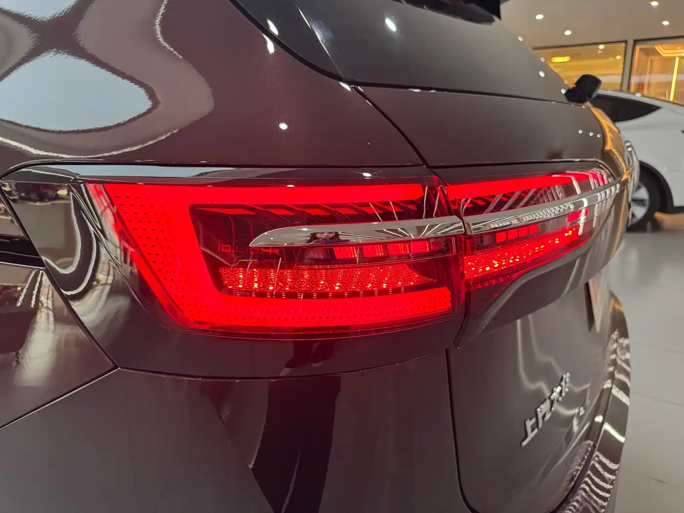 Volkswagen Viloran 2022 330TSI Luxury Edition фото 38
