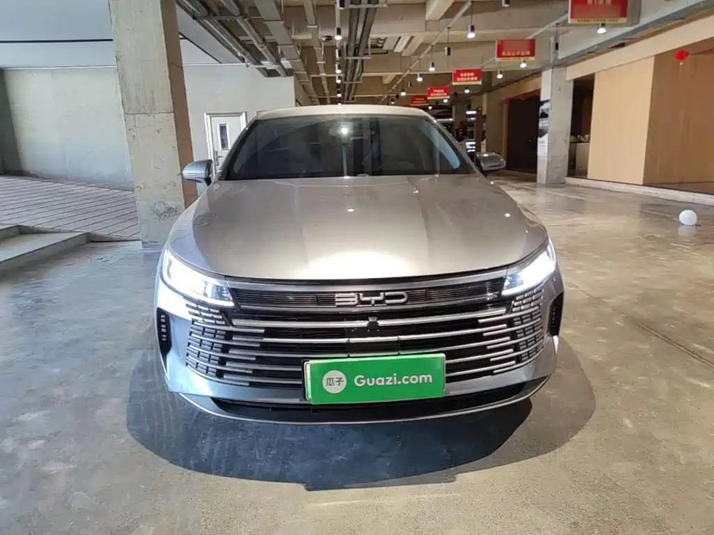 BYD Destroyer 05 2025 2024 Glory Edition DM-i 55KM Luxury