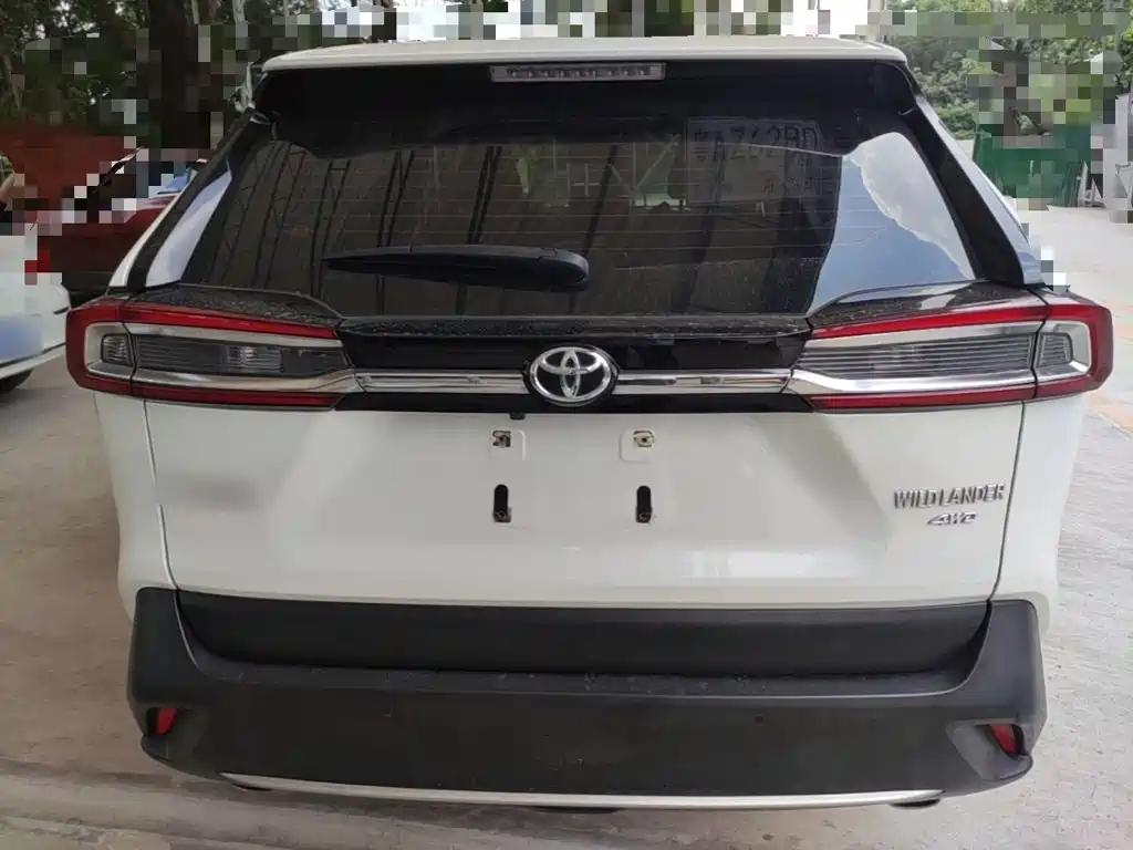 Toyota Wildlander 2021 2020 2.0L CVT AWD Luxury Edition
