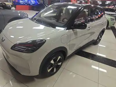 Wuling Bingo Plus