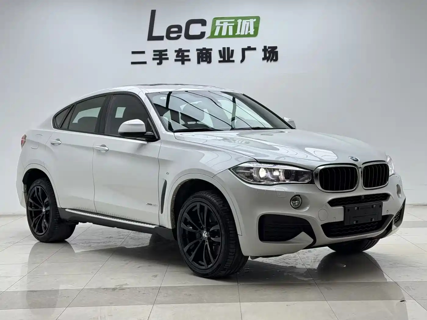 BMW X6 2018 xDrive35i Leading Model фото 3