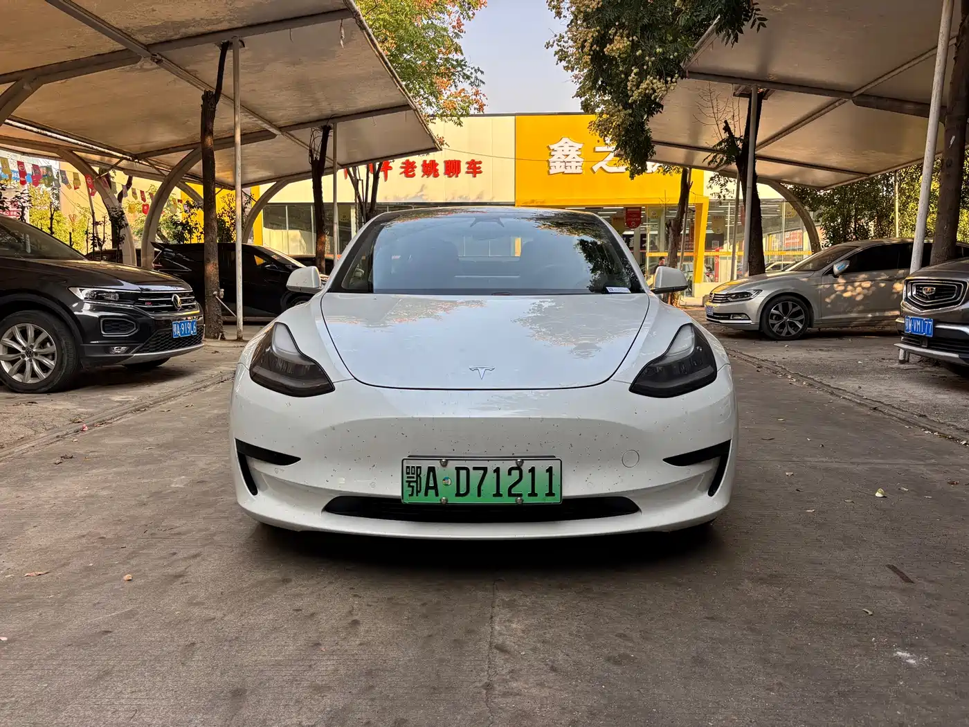 Tesla Model 3 2020 2020 Standard Range Rear-Wheel Drive Upgrade