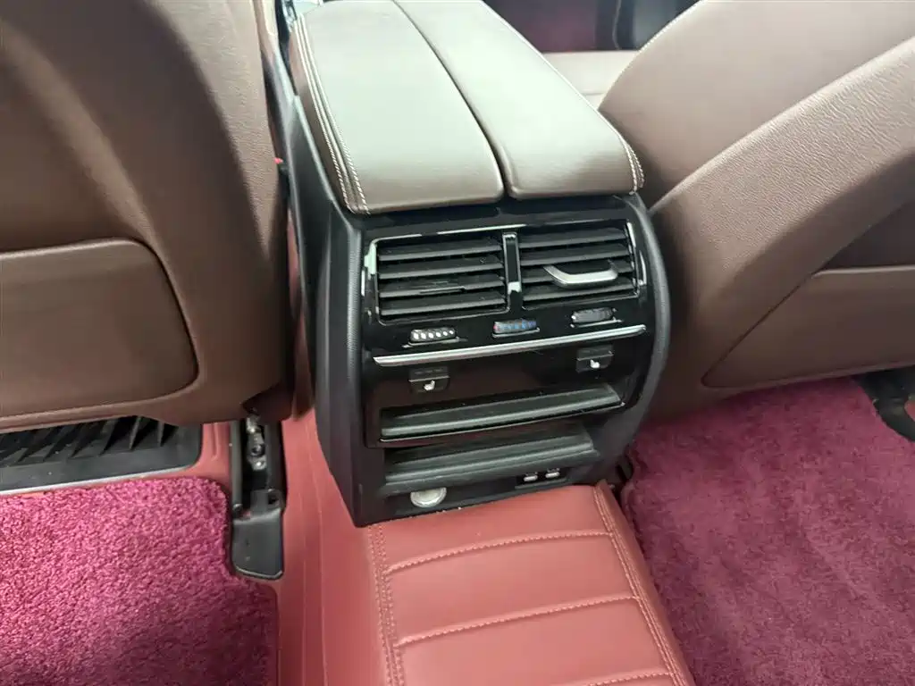 BMW 5 Series 2020 530Li Leading Luxury Package фото 11