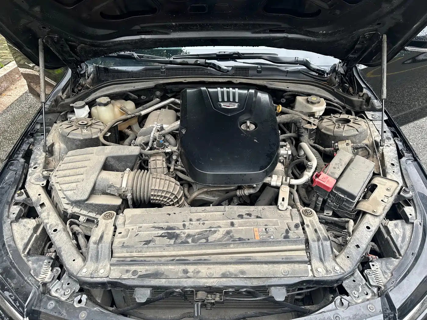 Cadillac CT4 2023 2023 25T Luxury Model