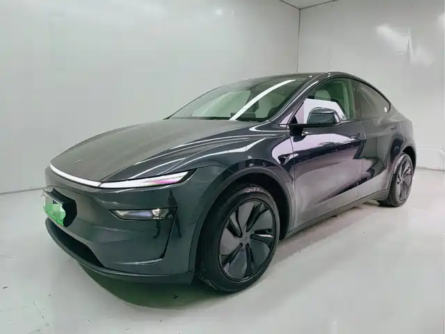 Tesla Model Y 2025 Rear-Wheel Drive