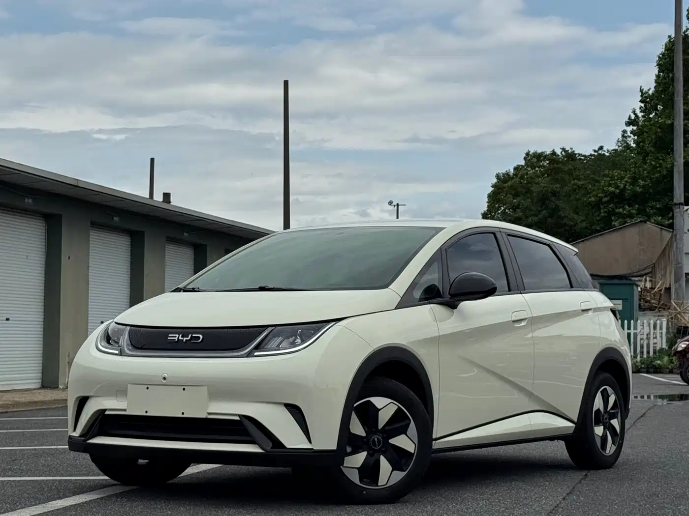 BYD Dolphin 2025 420km Freedom Edition