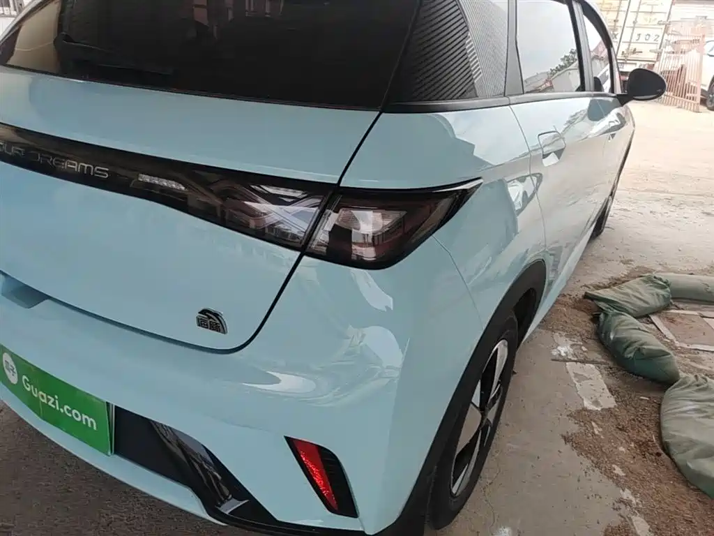 BYD Dolphin 2023 420km Fashion Edition фото 8