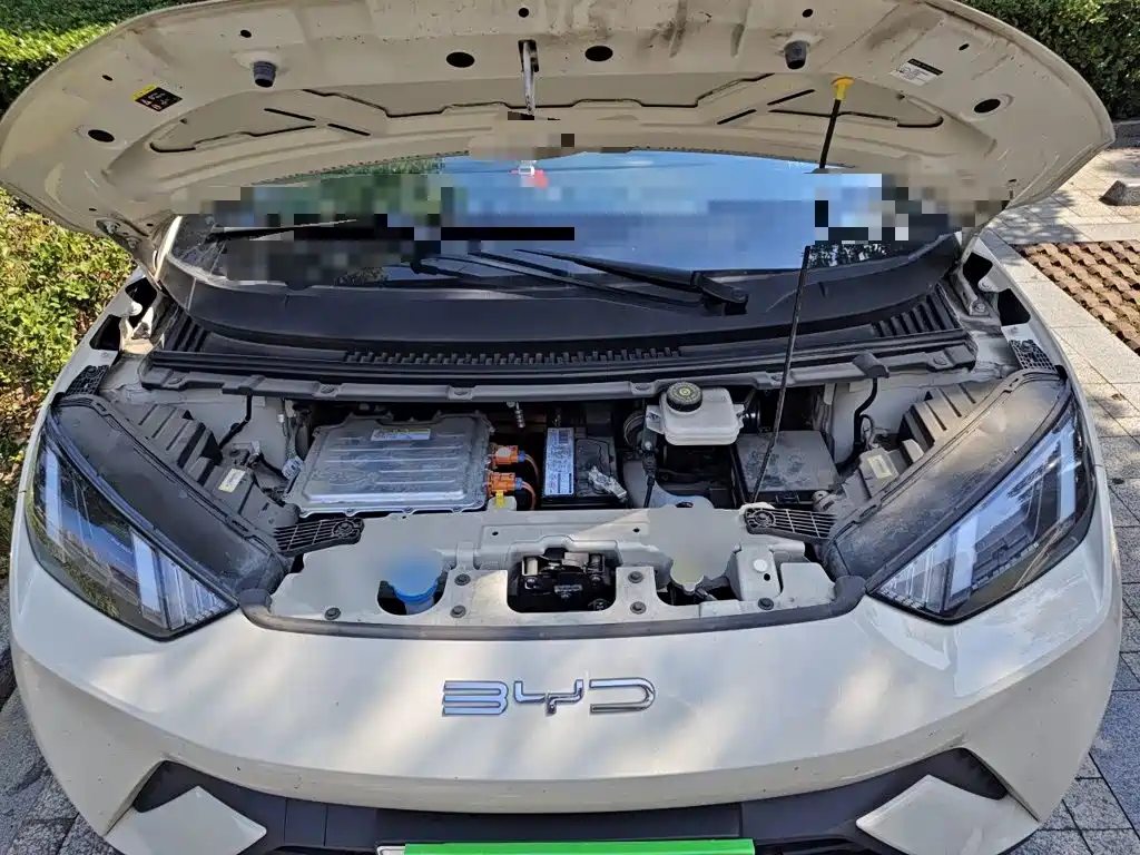 BYD Seagull 2023 2023 Freedom Edition